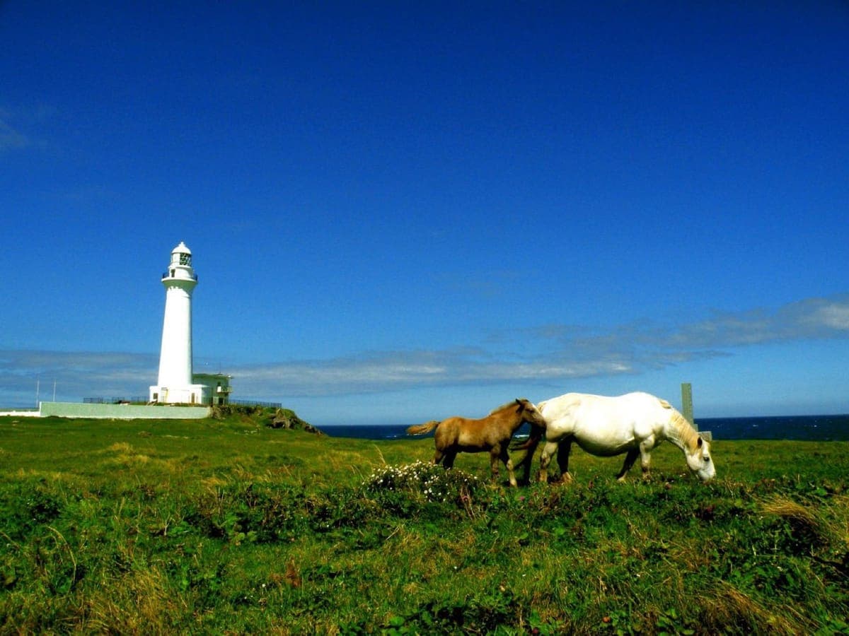 Cape Shiriya / Shiriyazaki Lighthouse