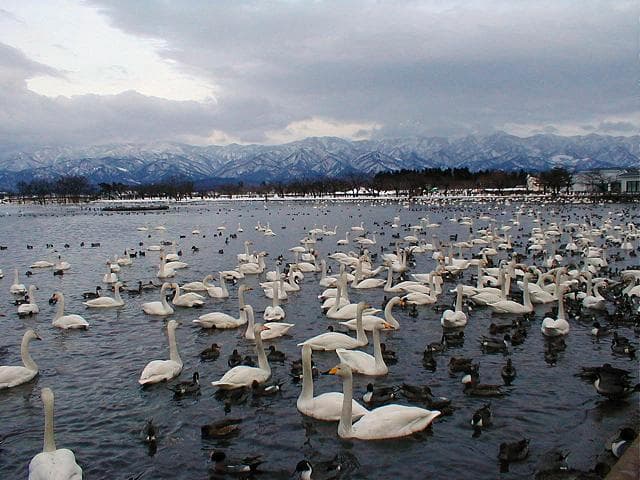 Lake Hyoko