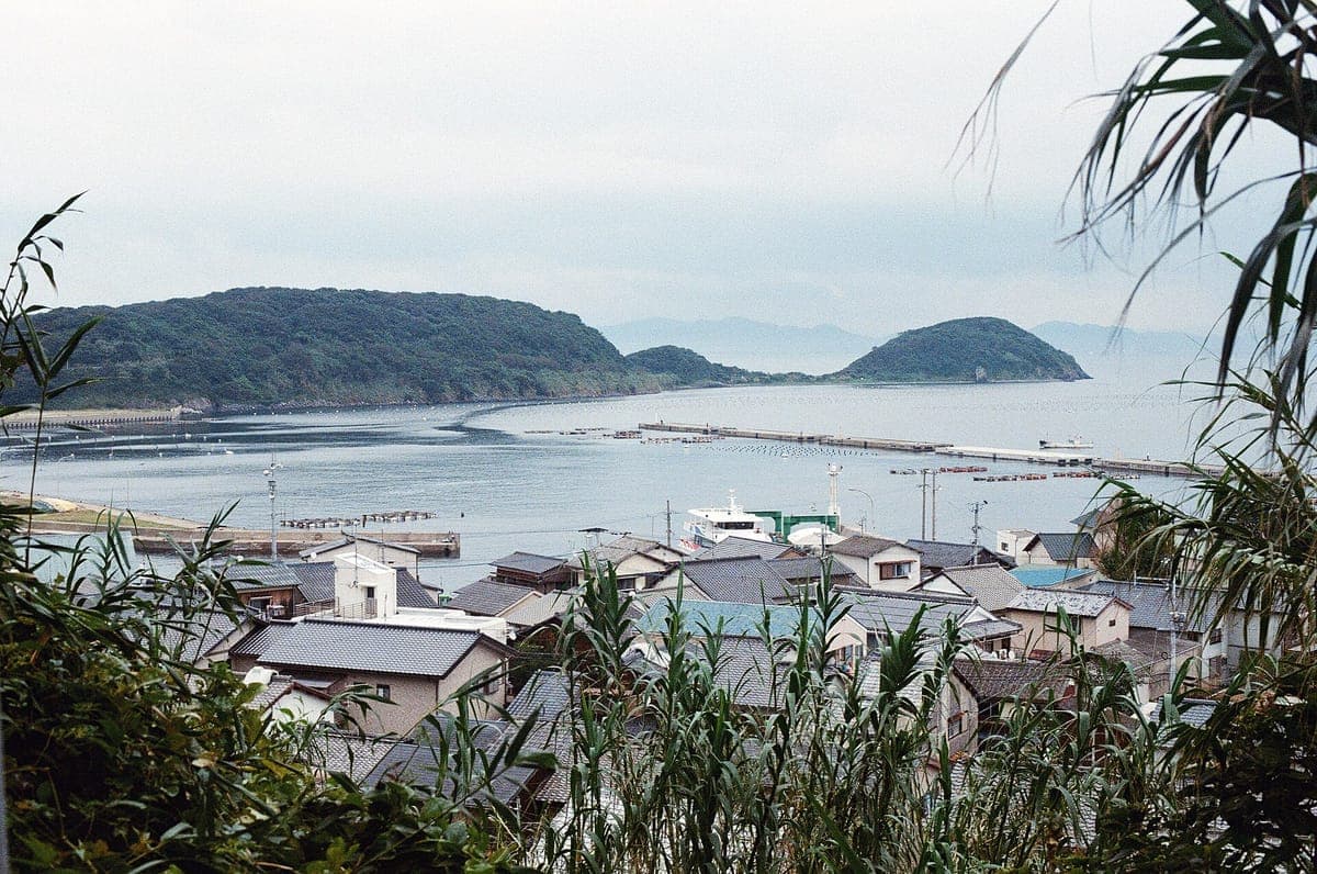Ainoshima Cat Island (Shingu)