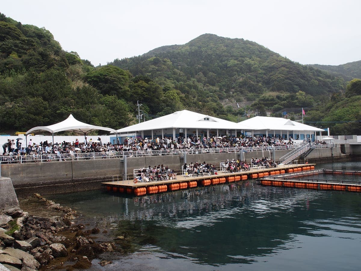 Tsukumi Dolphin Island