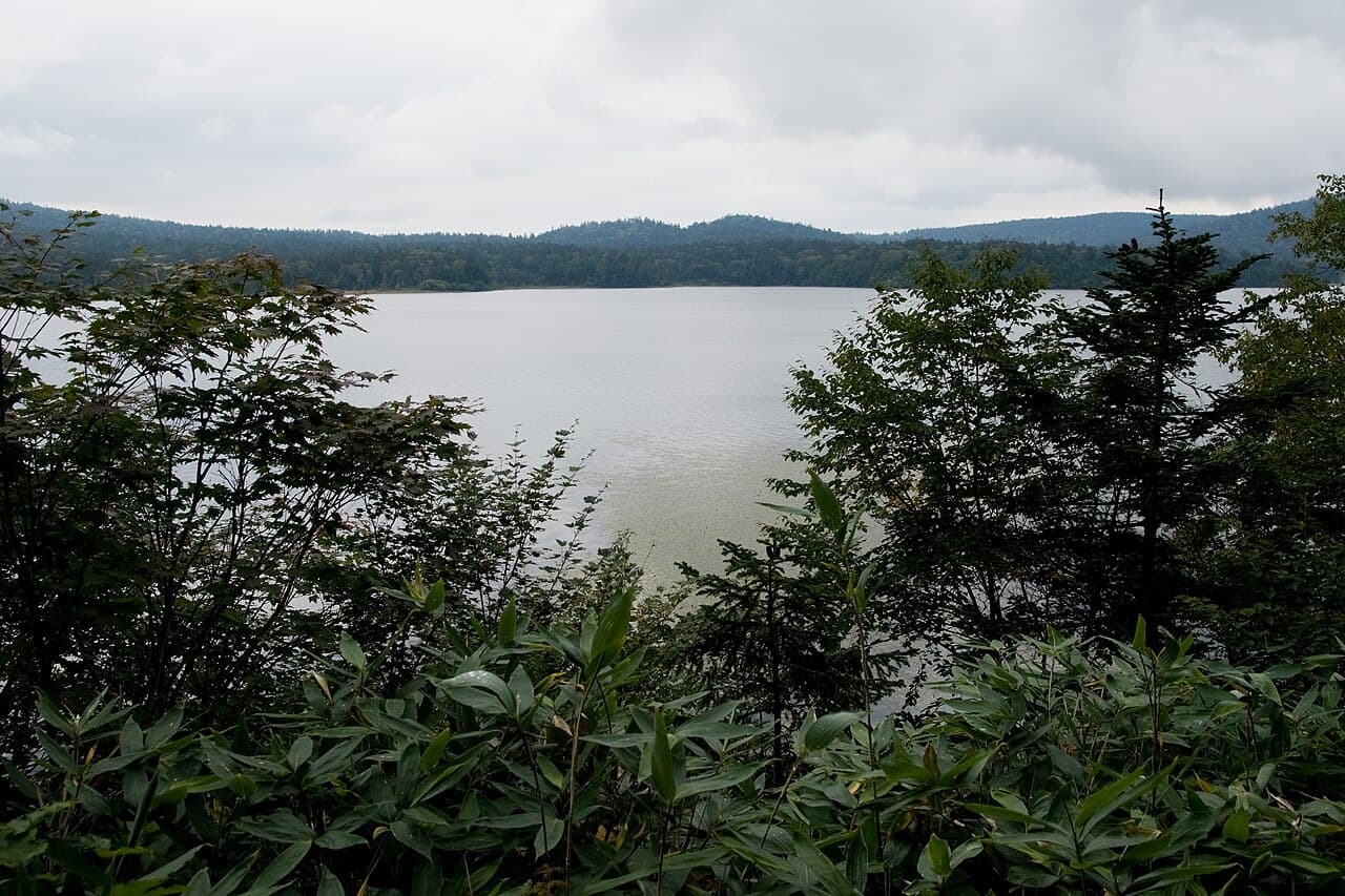 Ozenuma Lake