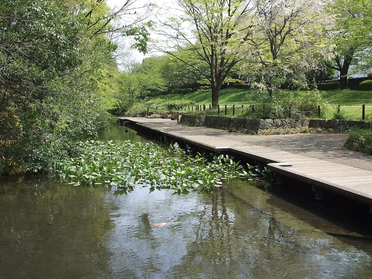 Negawa Greenway Road