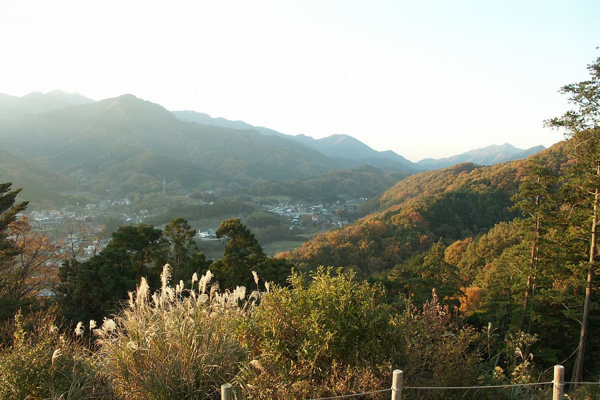 Nanasawa Forest Park