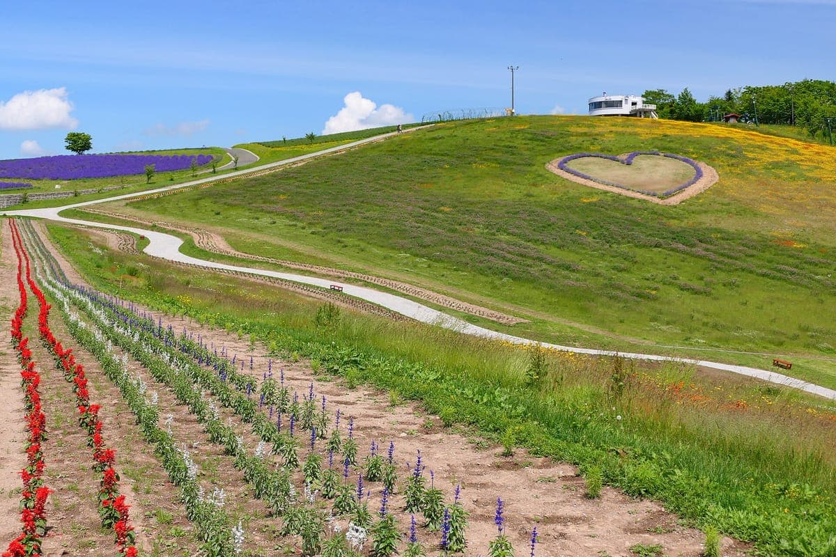 Hinode Park Lavender Garden
