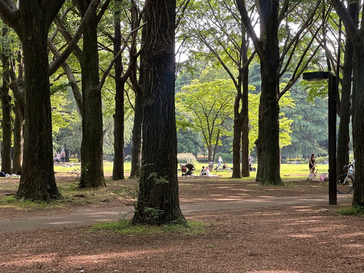 Yoyogi Park