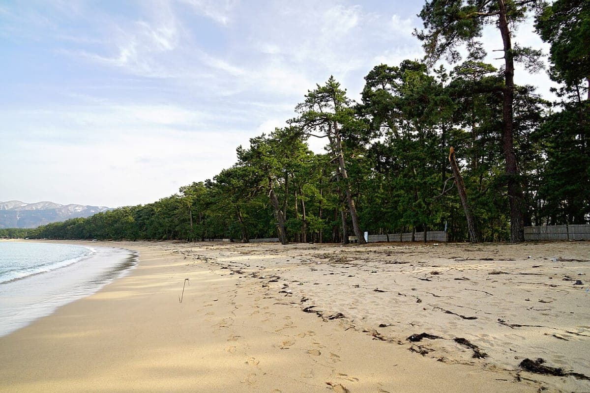Kehi no Matsubara