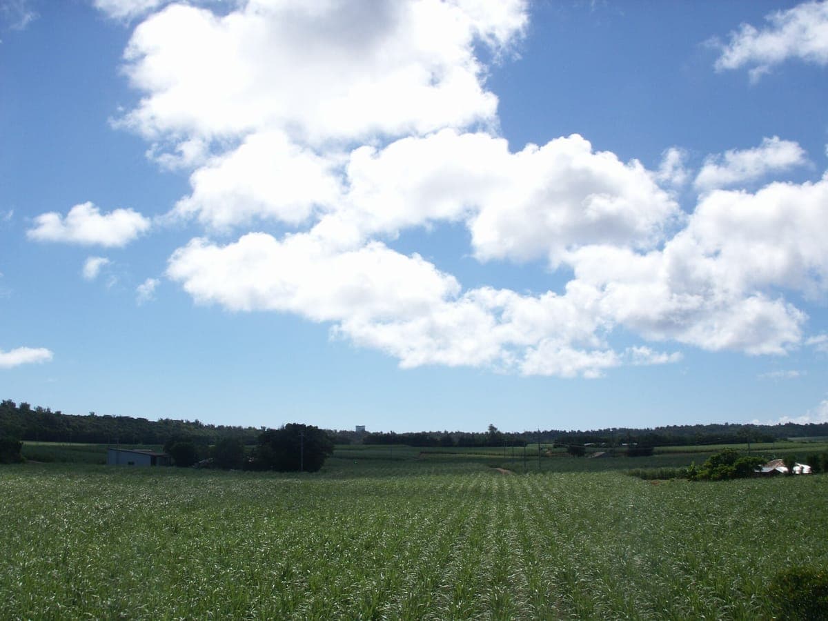 Minami-Daito Sugar Island
