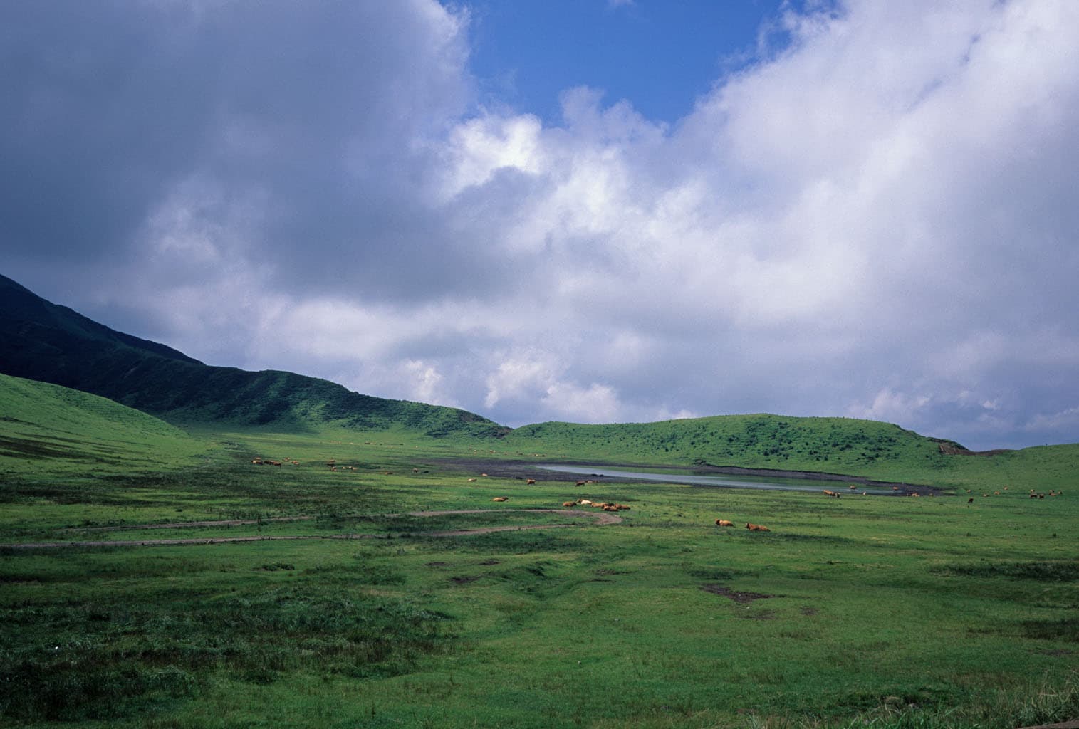 Kusasenri
