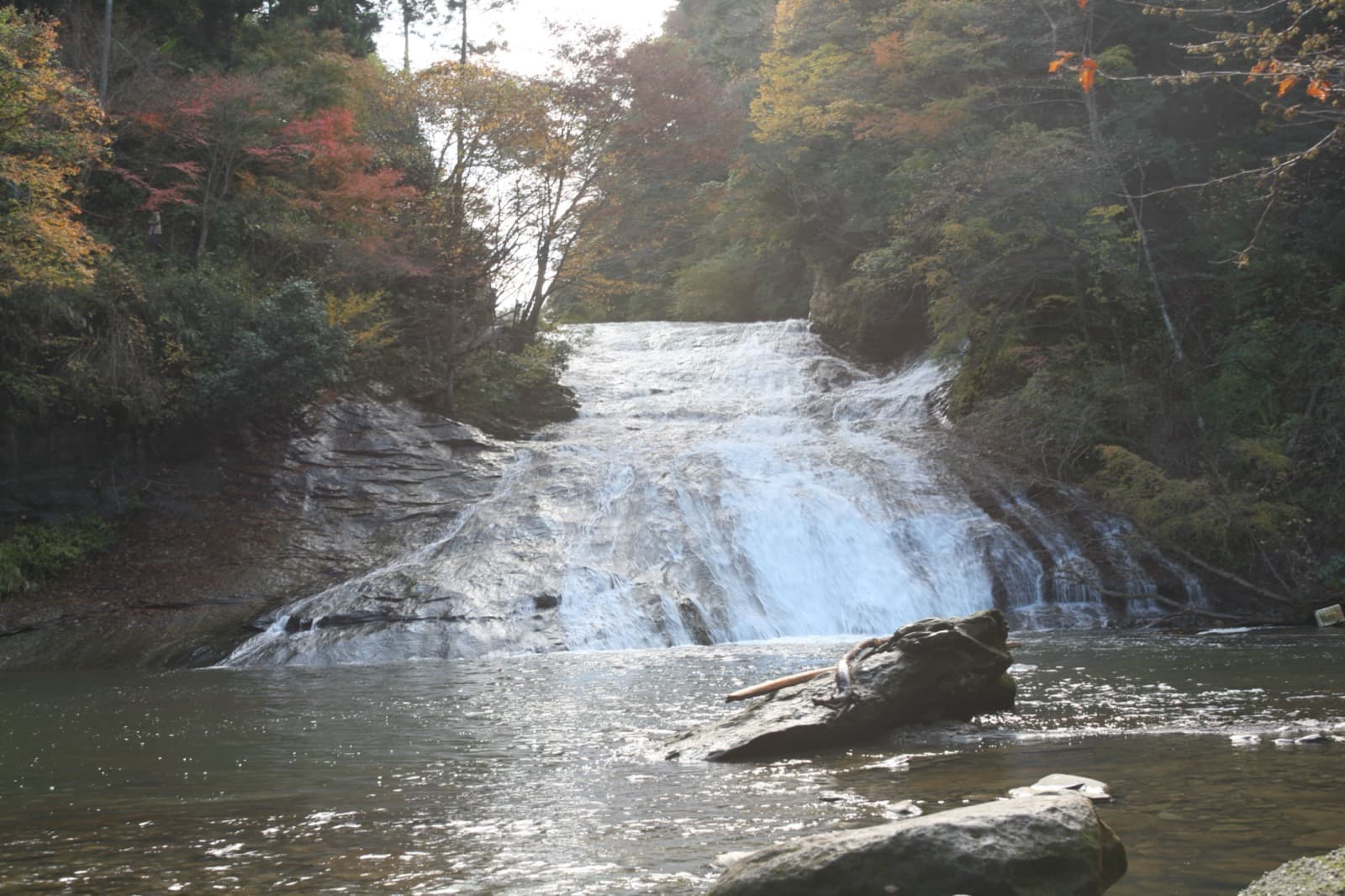 Awamata Falls (Yoro Valley)
