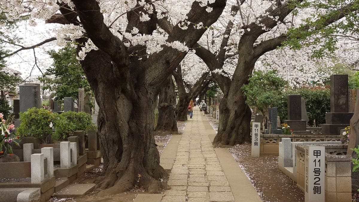 Yanaka Cemetery