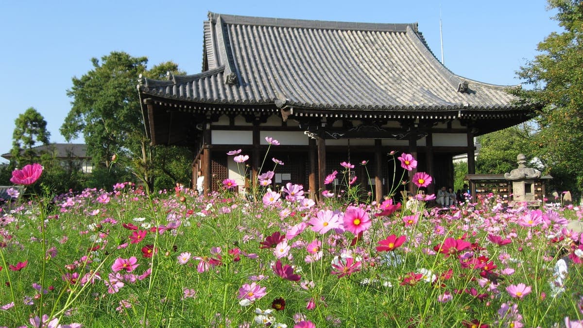 Hannya-ji Temple