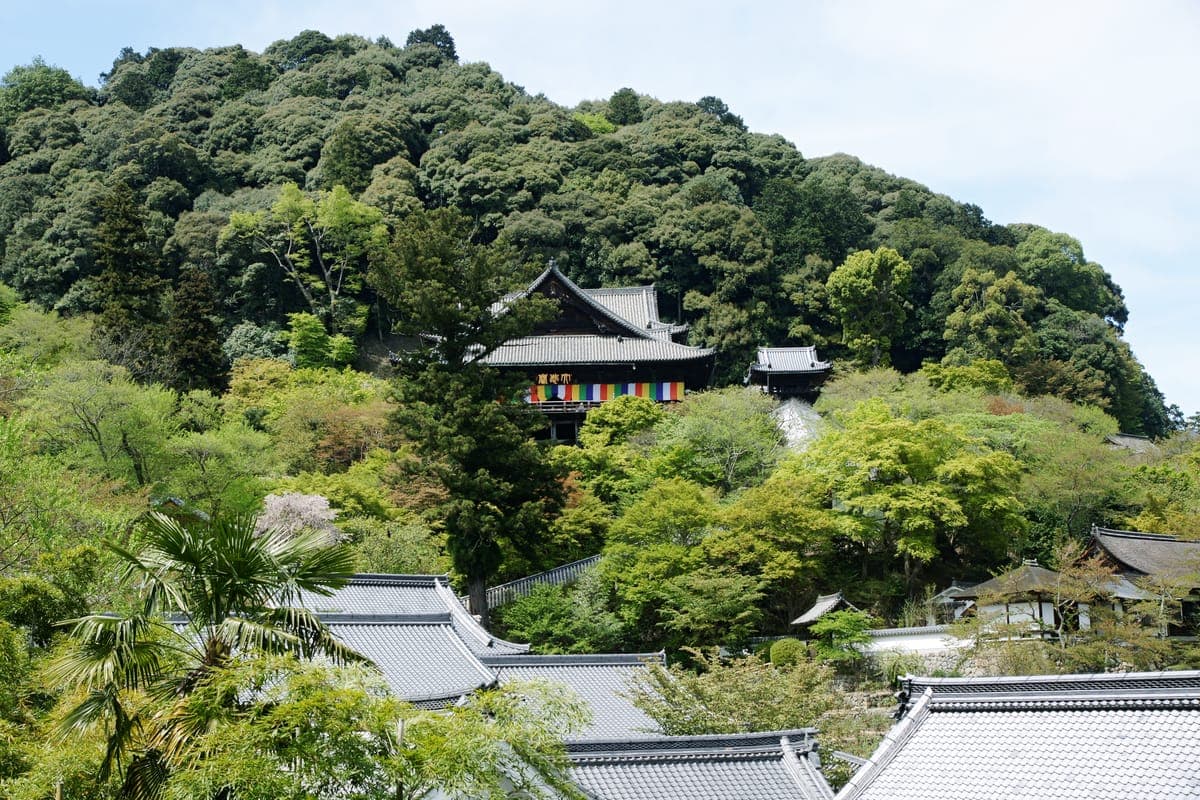 Hasedera Temple