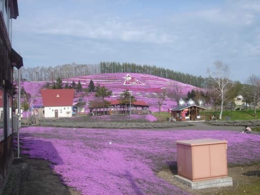 Higashimokoto Shibazakura Park