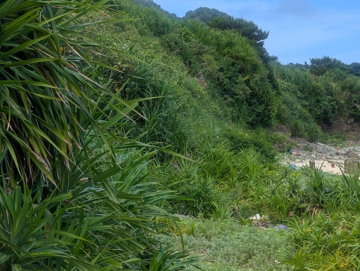 Hirakubo Beach