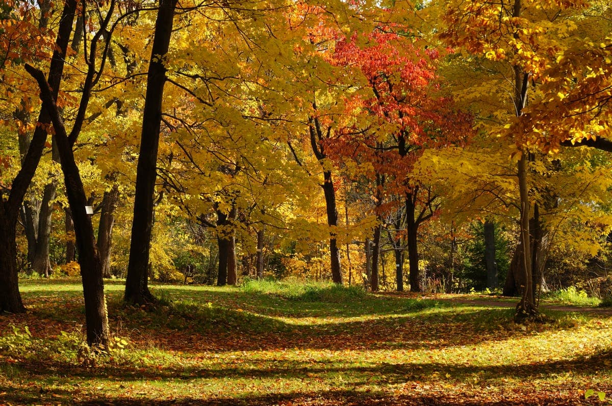 Hokkaido University Botanic Garden