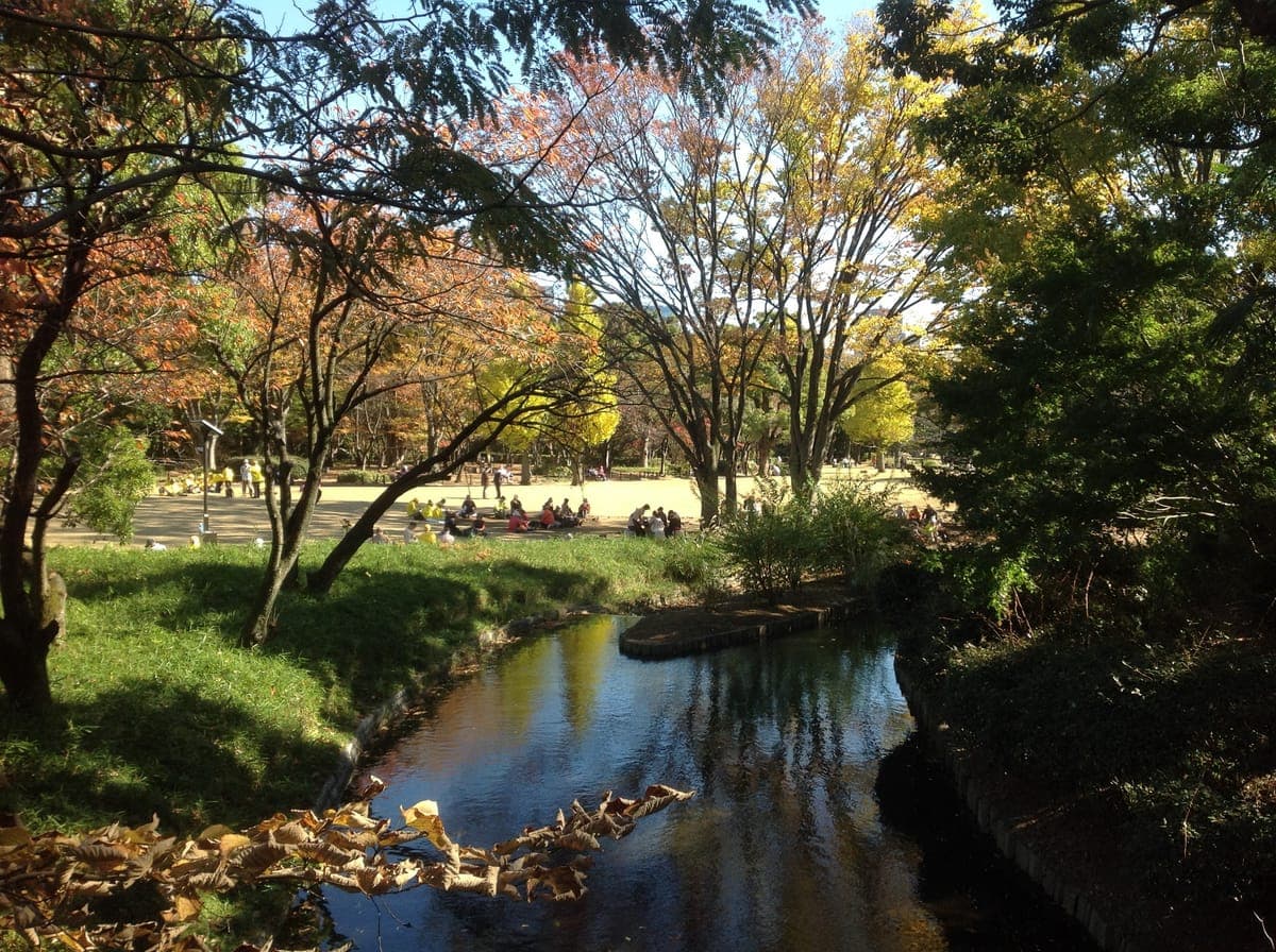 Kitanomaru Park