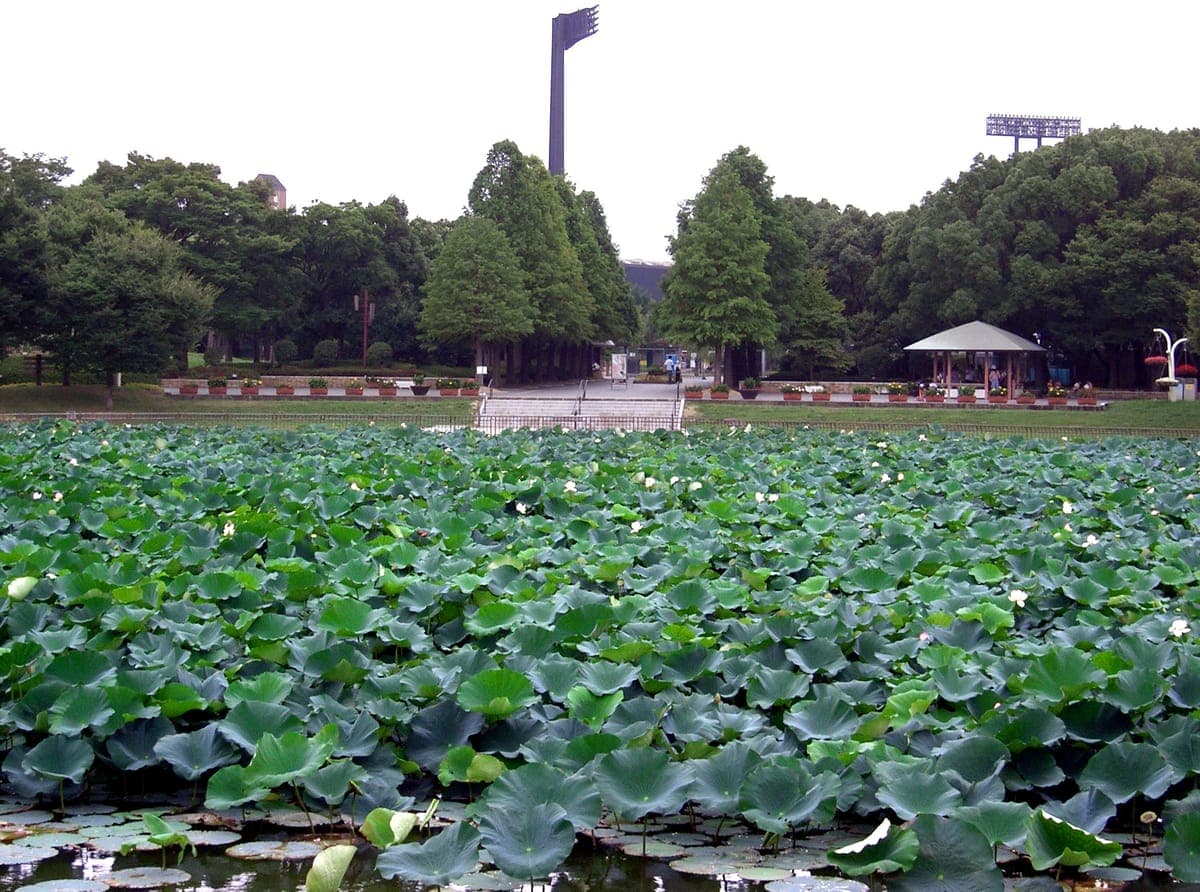 Nagai Botanical Garden