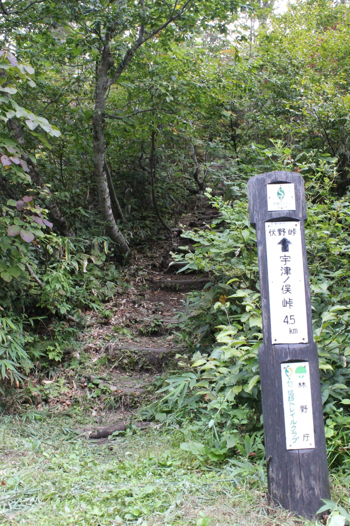 Shinetsu Trail