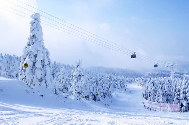 Zao Ropeway