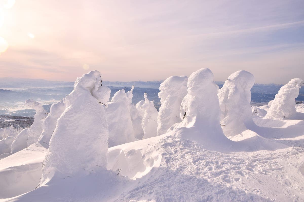 Zao Snow Monsters